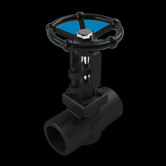 505 F-8 Trim 8 Globe Valve Overview